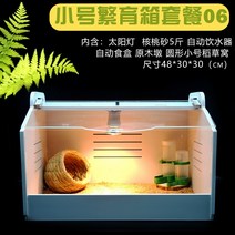 병아리 메추리 앵무새 조류 사육장 케이지 인큐베인터 육추기, 작은 번식 상자 (6 개 세트)