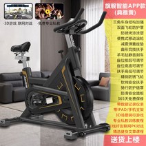 좌식 자전거 게임 걷기 운동 기구 효과 사이클 헬스장, V10[고귀황]무극항력/3D대전/운동데이터/피티APP