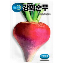강화순무 2000립 - 순무 씨앗 종자
