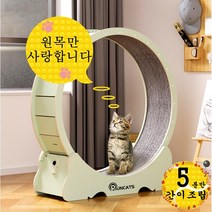 런캣 무소음 간단 설치 원목 캣휠 고양이캣휠, L(102*36*108), 간이 설치, 아보카도그린, L(102*36*108)