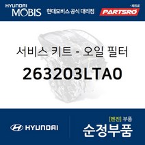 서비스 키트-오일 필터 (263203LTA0) EQ900 G70 G80 G90 현대모비스 부품 공식대리점 온라인쇼핑몰 파츠로