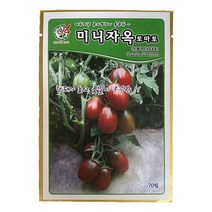 제일 미니자옥토마토 씨앗 70립