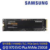 삼성전자 정품 SSD 970 EVO Plus NVMe PCIe Gen 3.0 M.2 2280, 삼성 정품 970 EVO Plus 250GB