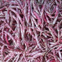 국내산 햇 생 완두콩 고창 호랑이콩 1kg 얼룩콩 깍지콩, 햇 껍질 호랑이콩 3kg(5월 16일 순차발송)