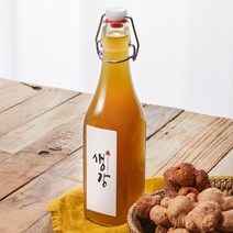 담아요 국산 저온발효숙성 생강청 수입유리병 500ml 생강원액, 1병