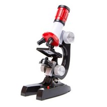 빅드림 광학현미경 교구, 1200배, 16개