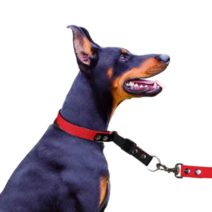 패피퍼피 강아지 목줄 대형견 마틴게일 초크체인 훈련용, 레드