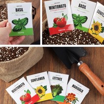 1종 씨앗봉투, 봉선화