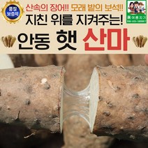 산에서나는 장어 안동 햇 산마 중품 2kg