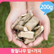 건조 황칠나무 가지잎 200g 말린 약재 영양 한방 건강