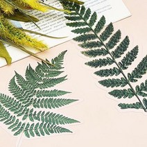 카페 매장 나무모양 꽃무늬스티커 테이블꾸미기용