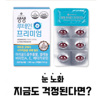 온가족 수험생 직장인 눈 시력 영양제 생생 루테인 프리미엄 2개월분