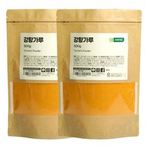 자연지인 인도산 강황 가루, 500g, 2개