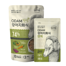 오담 강아지 화식사료 면역케어 오리 생식사료 1kg (100g x 10개), 선택1:본상품선택