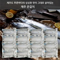 제주은갈치(제이앤와이) [제주나라]제주은갈치 왕특대 420g4마리분량, 1