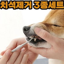 이빨 치석제거 고양이 강아지셀프스케일링 입냄새 고양이스케일링 스케일링 제거기 스케일러 강아지