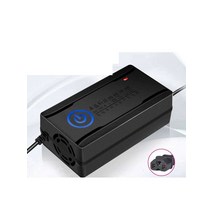 전기차충전기 48v12ah 차량용 충전기 가정용 이동형, 48V28-32AH T형 유니버셜, 1개