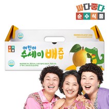 순수식품 어린이 수세미 배즙 1박스(30포) 식이섬유 음료 주스, 1박스(30개), 단품