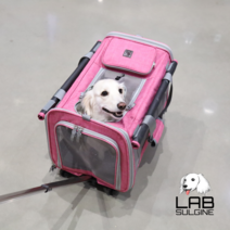 [설기네] 프리미엄 펫캐리어 개니발 (펫 팻 애견 애묘 강아지 고양이 동물 캐리어 가방), 블루진