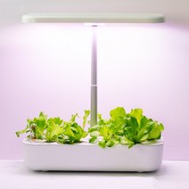 스마트 실내 led 원예 온실 수경 재배시스템 12 포드 허브 with Grow light smart garden planter for home Kitchen성장 화분 빛 정원, 화이트-au 플러그