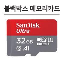 샌디스크 위니캠 알파 블랙박스 메모리 32기가 SD카드, 32GB