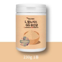 람노스유산균 엘지지유산균 에너데이 락토바실러스 L람노서스 230g, 1개