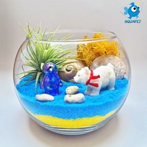 백곰과 친구들 - 틸란(이오난사) 원형볼 12cm 테라리움 DIY키트 세트, 핑크