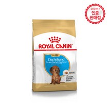 로얄캐닌 애견 사료 닥스훈트 퍼피 1.5kg, 1개