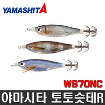 토토스테 R WS70NC, F/AN