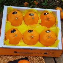 제주특산품 천혜향 2kg(6-8수 대과)2박스 그윽한 향과 팡팡 터지는 과즙 품격있는 설과일선물세트