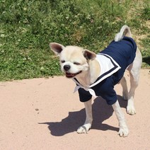 [달링독 HANDMADE] 댕세라마린룩(원피스-티셔츠) 핸드메이드 강아지옷 강아지원피스 강아지티셔츠 소형견 중형견 대형견 주문제작가능, 원피스, 주문제작