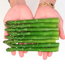 새우몰 냉동 자숙 아스파라거스 1kg 간편상품 약 50개내외