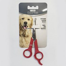 강아지 고양이 얼굴 털정리 미용 가위 포메 애견미용샵 비숑 애견가위 고양이가위