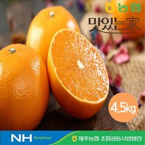 제주농협 귤로장생 천혜향 4.5kg, 없음
