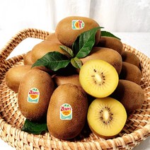 제스프리 달콤한 썬골드키위 대왕점보사이즈 16개입 (155g내외) 뉴질랜드, 1개