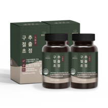 웰빙곳간 구절초 추출정 600mg 120정 2개