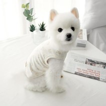 동동이네 데일리 오가닉나시 강아지옷, 아이보리
