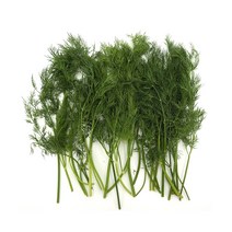 딜 Dill 50g 허브 향신료, 1개