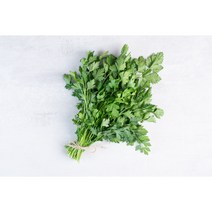 고수 1단 (약350g) 채소팜