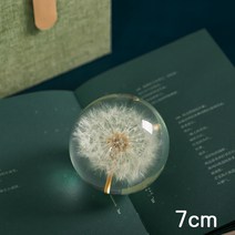 엘리멘탈 비비스테리아 무드등 오르골 미니 유리 수정 구슬 플라워 엠버 웨이드 애니 영화, A. 민들레_중간 (7cm 직경) 볼