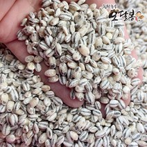 힘찬농부 국산 흑보리 검정보리쌀 흑찰보리, 1개, 1kg