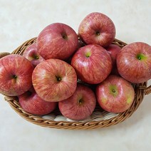 과즙가득 꼬꼬마사과 2.5kg 5kg 10kg 꼬마사과 부사 산지직송 국산 100% 당도최고 고랭지 사과, 10kg(50과~60과내외)