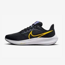 [나이키 우먼] 나이키 페가수스 39 Nike Pegasus 39 (DH4072-004)