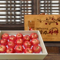 [장수청정마을] 장수사과 5kg(17과), 상세 설명 참조