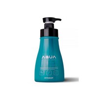 히솝 아쿠아 산성 컨디셔너 1000ml, 1개