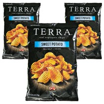 테라칩스 베지터블 칩 스위트 포테이토 씨 솔트, 170g, 3개