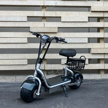 앉는 킥보드 가벼운 자출용 접이식 출퇴근 경량 휴대용, 48V, 20A-배터리 70km-메탈 실버 블랙