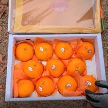 프리자연 제주 레드향 프리미엄 명품 고당도 선물세트 2kg 3kg 5kg, 레드향 명품 선물세트 특대과 3KG(5-10과)