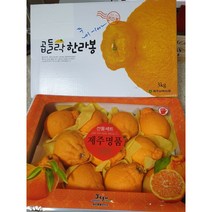 [곱들락] 제주산 고당도 한라봉 /선물용 가정용먹걸이, 5kg(20입내)