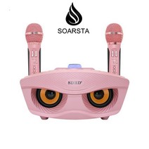 블루투스 마이크 가정용 노래방 무선 스피커, 핑크